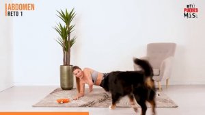 RETO de ABDOMINALES para tener un Vientre PLANO _ Núm. 1 _ 15 Minutos