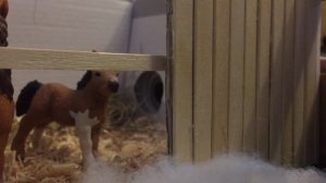 Типы Жеребят перед Новым годом!