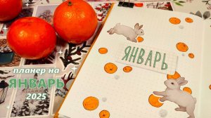 Как я веду планер |🍊ЯНВАРЬ 2025 оформление ежедневника🍊|