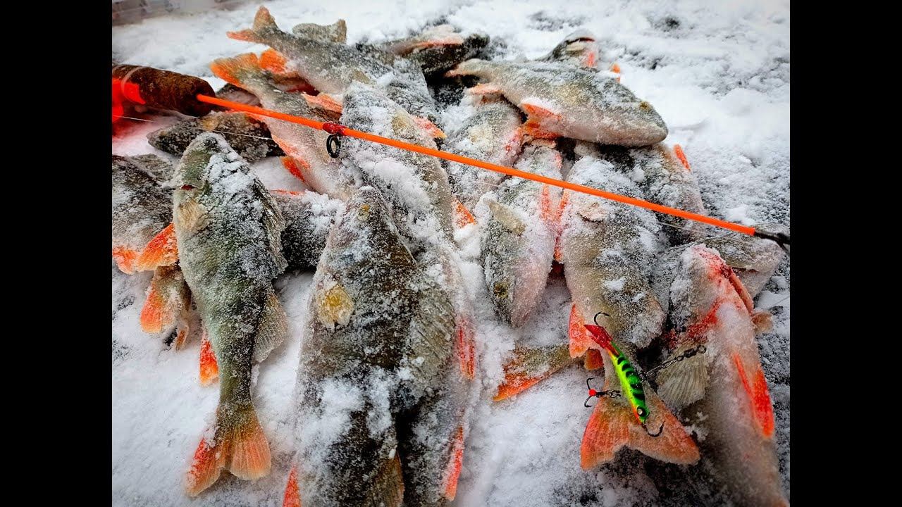 ПЕРВЫЙ ЛЁД 2021-22!!! СЕЗОН ОТКРЫТ СО ЗЛЫМИ ПОКЛЕВКАМИ НА БАЛАНСИР смотреть онлайн