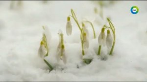 Рекламные заставки (Мир, весна 2021)