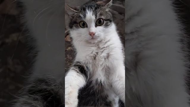 По всей видимости дела плохи 😂#shots