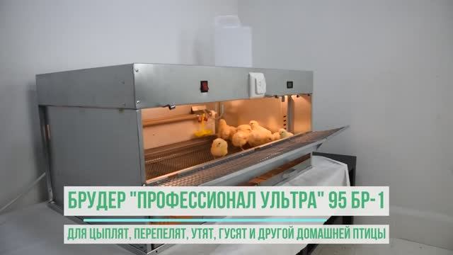 БРУДЕР "ПРОФЕССИОНАЛ УЛЬТРА" 95-БР-1 смотреть онлайн