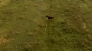 Sikvarulistvis - 33A & Niaz Diasamidze.flv