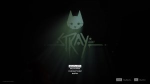 stray