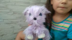 ПУШИСТИК-ПОТЕРЯШКА