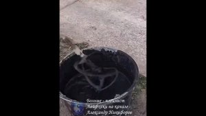 Лайфхак. Декоративная штукатурка для отделки фасада
