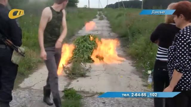 ОПЕРАТИВНО-ПРОФИЛАКТИЧЕСКАЯ ОПЕРАЦИЯ МАК СТАРТУЕТ С 21 ИЮНЯ