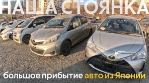 ОГРОМНОЕ ПРИБЫТИЕ АВТО ИЗ ЯПОНИИТАКОГО ЕЩЕ НЕ БЫЛОАВТОМОБИЛИ ОТ 650 ТЫСЯЧ❗️КАК МЫ ВВЕЗЛИ NV200⁉️