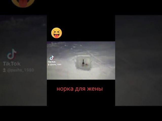 24 ноября 2023 г.