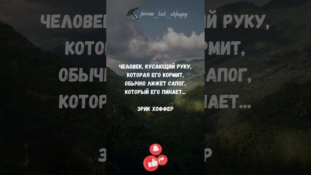Мудрые мысли дня.