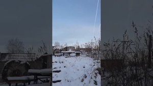 ДО СВИДАНИЯ ДОМ РОДНОЙ !