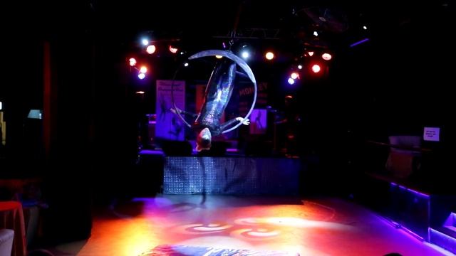 CatWalk V - Наталья Яницкая, воздушное кольцо\aerial hoop