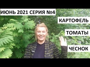 Июнь 2021 серия №4. Формирую томаты. Подсыпаю картофель и........