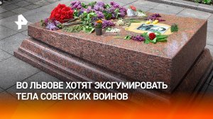 Эксгумировать останки советских воинов решили во Львове / РЕН Новости