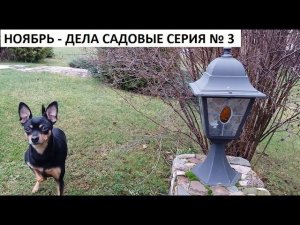 Ноябрь - дела садовые серия № 3.