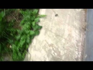 ПРИКОЛЫ ПО ДОМОФОНАМ. (ЧАСТЬ 4) :D