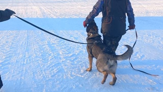 Й.15.01.25