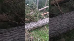 Ураган в Тамбовской обл.