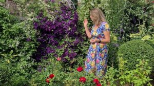 ОБУЧАЮЩИЙ КУРС по клематисам. Ватсап +79193271772