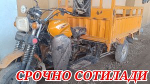 Срочно мурави сотилади