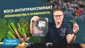 Воск для черенков и растений | Зачем нужен и как использовать?