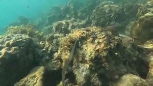 Морская экскурсия на яхте в Нячанге, Вьетнам. Круиз в море.