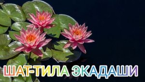 Не пропусти! ШАТ-ТИЛА ЭКАДАШИ.