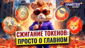 Как и зачем сжигают токены в крипте? ⚡️ Hamster Academy