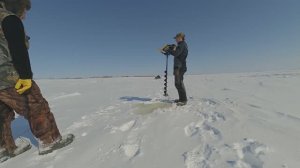 крайний отчёт с перемёта