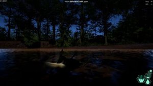 ВЫЖИВАНИЕ ЗА ПТЕРАНОДОНА В The Isle EVRIMA #2