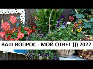 Отвечаю на ваши вопросы)))