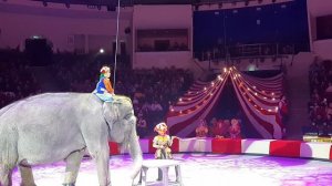 Слон большой из цирка - 1001 песенка