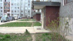 Открываем все домофоны подряд 3