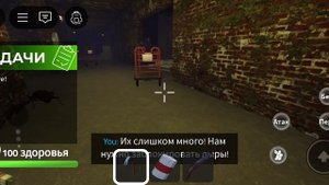 подвал-бункер захватили тараканы😱