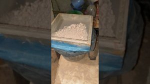 У лося рога горят