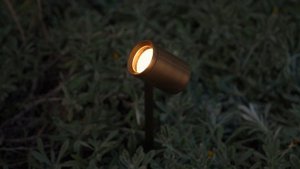 Spotty Light от фабрики Royal Botania 🇧🇪