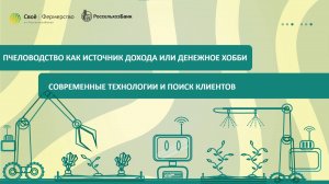 Пчеловодство как источник дохода или денежное хобби: современные технологии и поиск клиентов