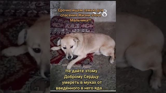 мускатн в беде