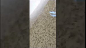 Астрахань мальковник работа