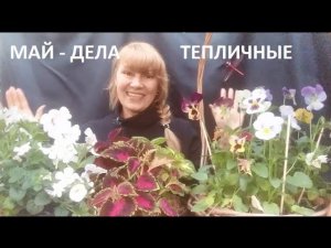 Май - дела тепличные.