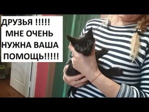 Мы ищем самую добрую на свете мамочку!!!