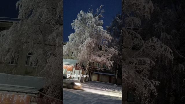 Снег укутал деревья. Ставим класс.