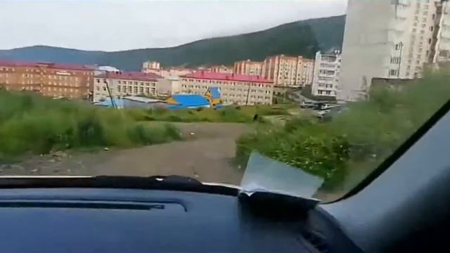 Первый раз увидел медведя в центре Магадана