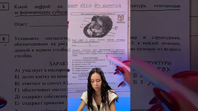 клетка #биология #умскул #биологияегэ #жаннаказанская