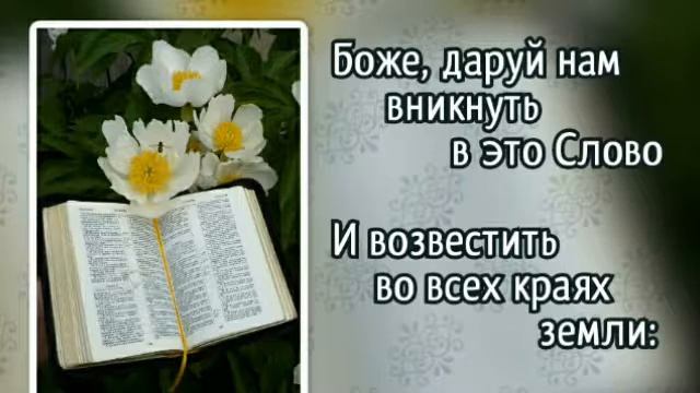 Глава 27 библии. Глава 27 библии. Глава 27 библии. Библия второзаконие глава 14 стих 8. Глава 27 библии.