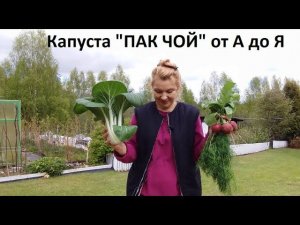 Капуста ПАК ЧОЙ от А до Я в природном земледелии.