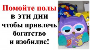 Помойте полы в дни, чтобы привлечь богатство и изобилие! Простой ритуал с водой и шваброй