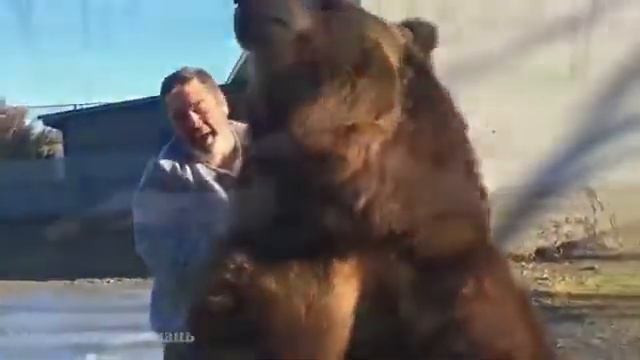 Удивительная жизнь