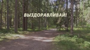 Фильм "ВЫЗДОРАВЛИВАЙ"   Сделано в кинолагере "Максатиха Кэмп" 4 смена 2024 г.